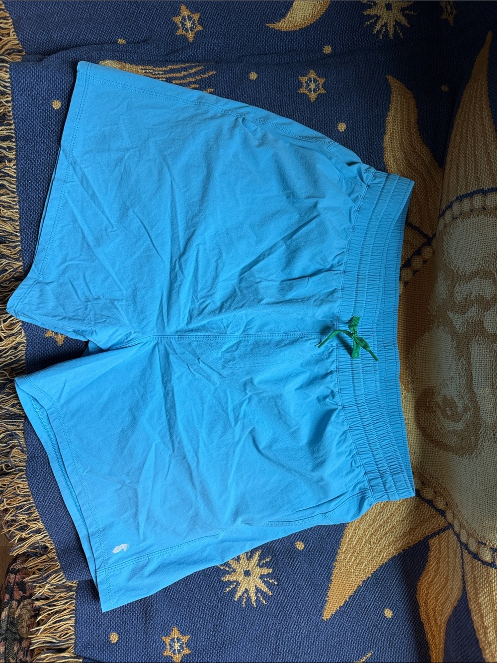 Cotopaxi Tola swim shorts